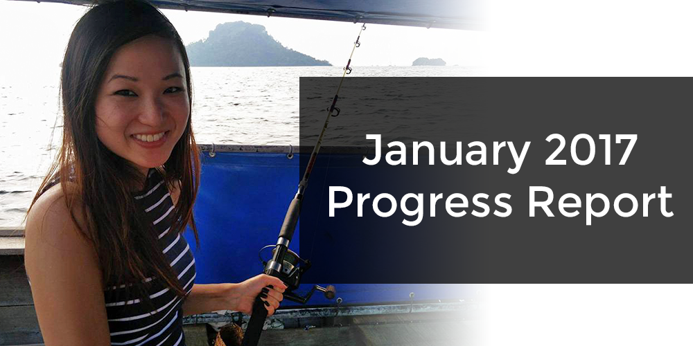 January Progress Report Passive Income