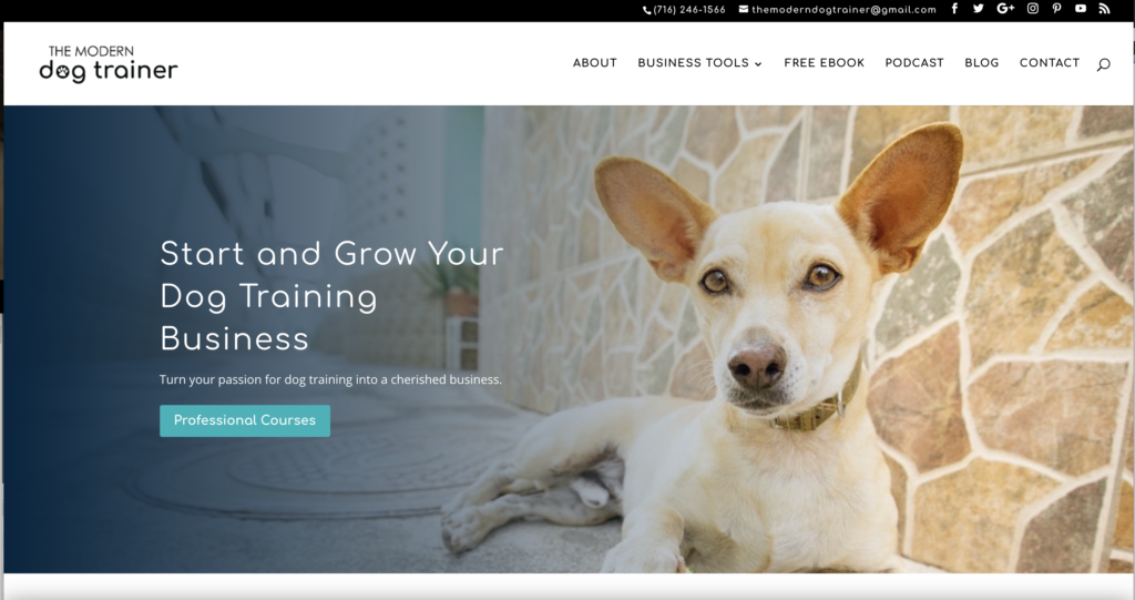 modern dog trainer