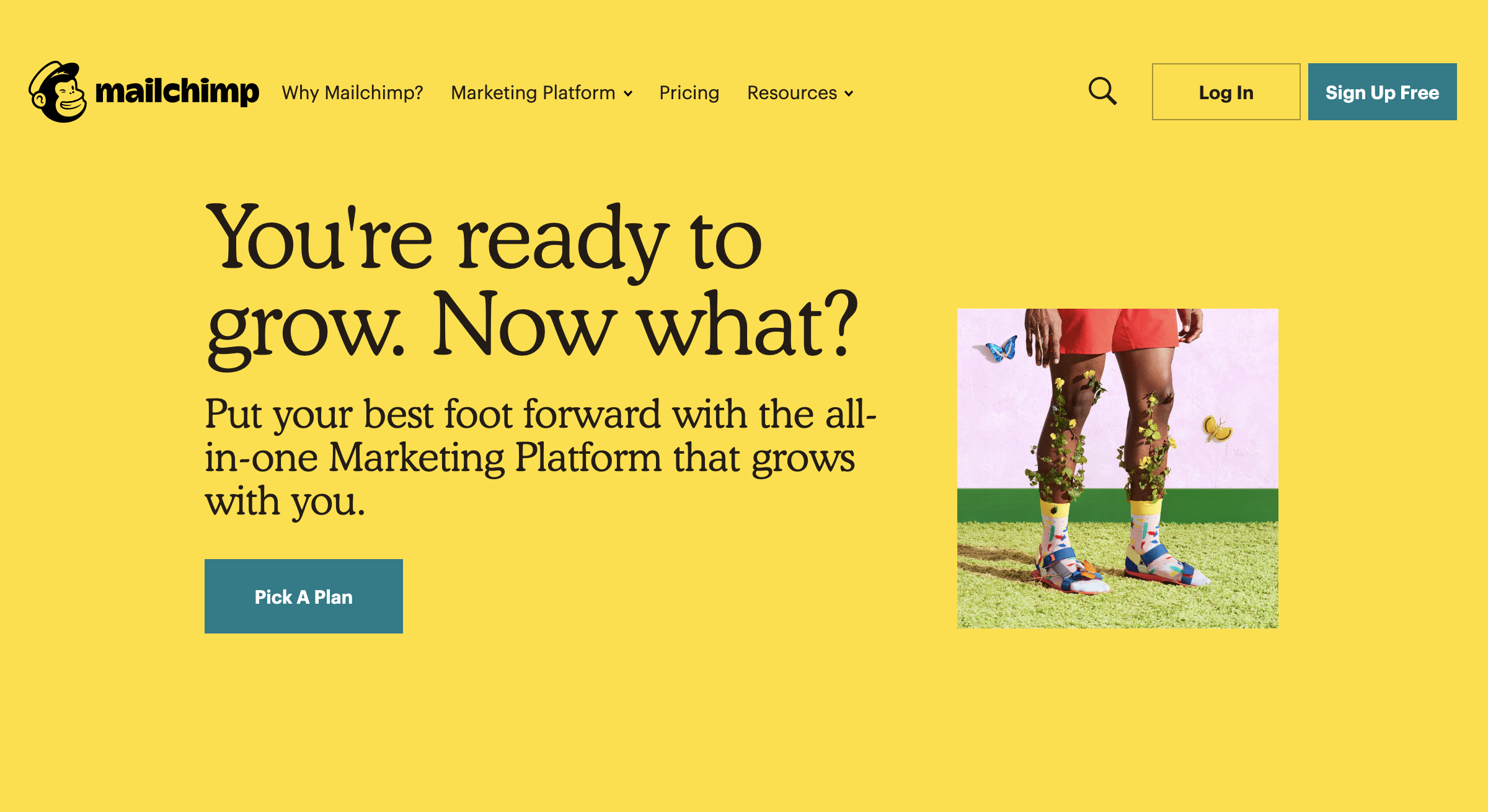 mailchimp