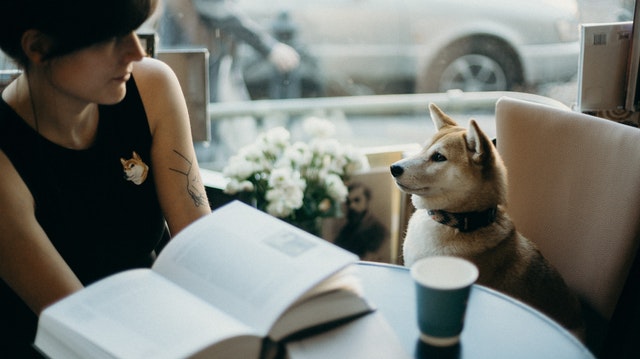 pet sitting digital nomad