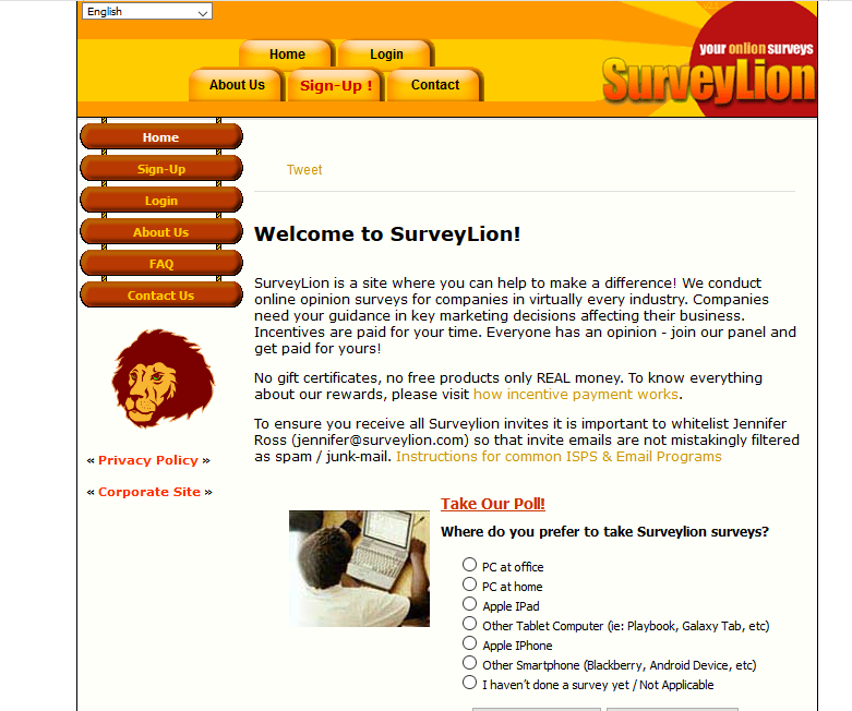 best international survey sites