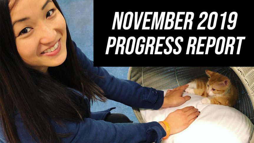 november 2019 progress report